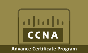 CCNA Training in Chennai: To Become Expertise in Hardware & Networking