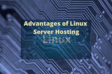Advantages of Linux Server Hosting | Linux Web Hosting Server