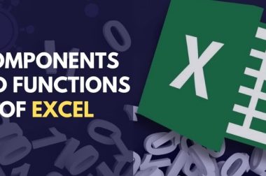 Important Components and Functions of Excel