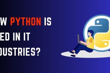 How Python is used in IT Industries?
