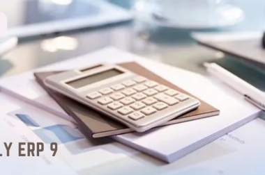 Tally ERP 9 Software and its Features